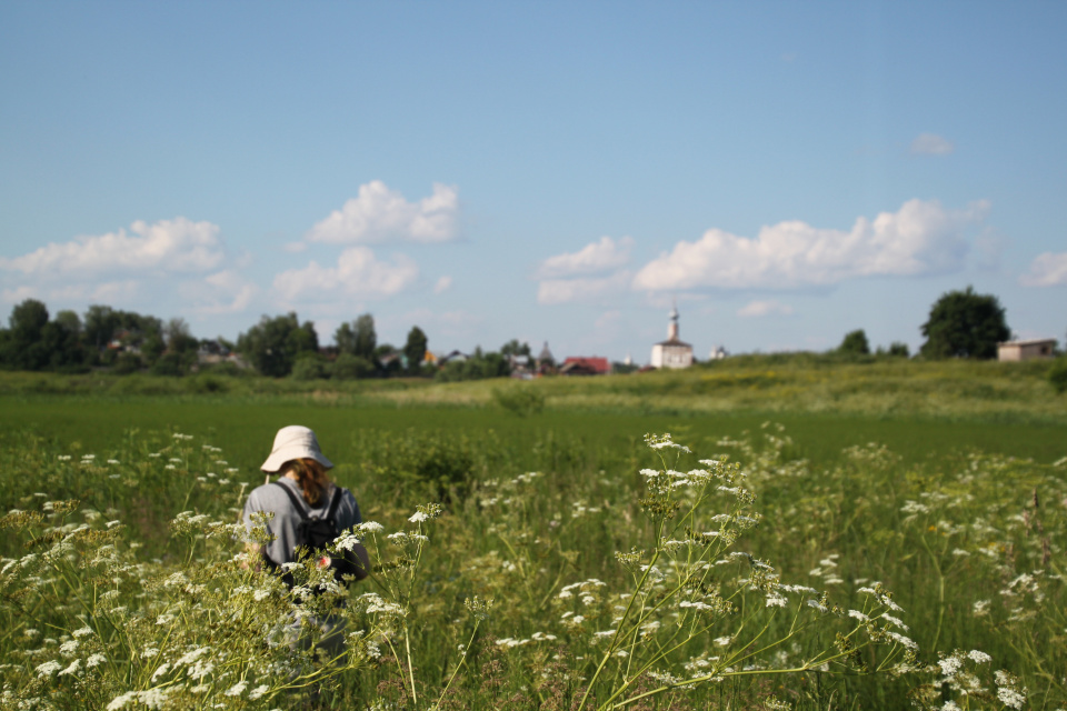 Проведение фенологических наблюдений