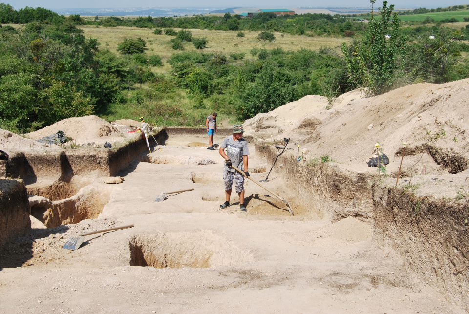 Опушкинская археологическая экспедиция