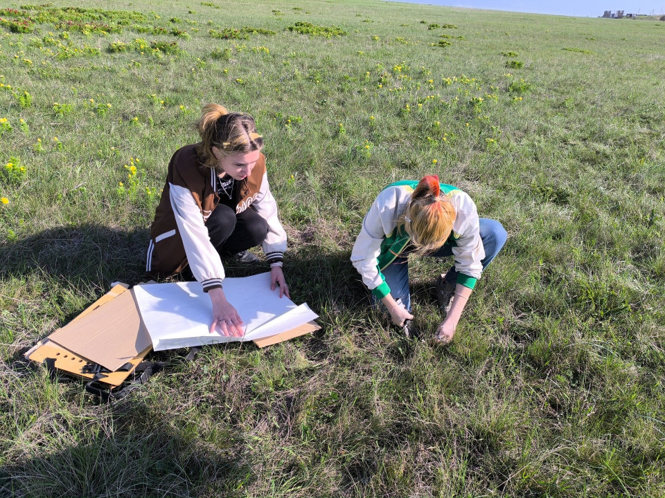 Научные исследования краснокнижной степи  