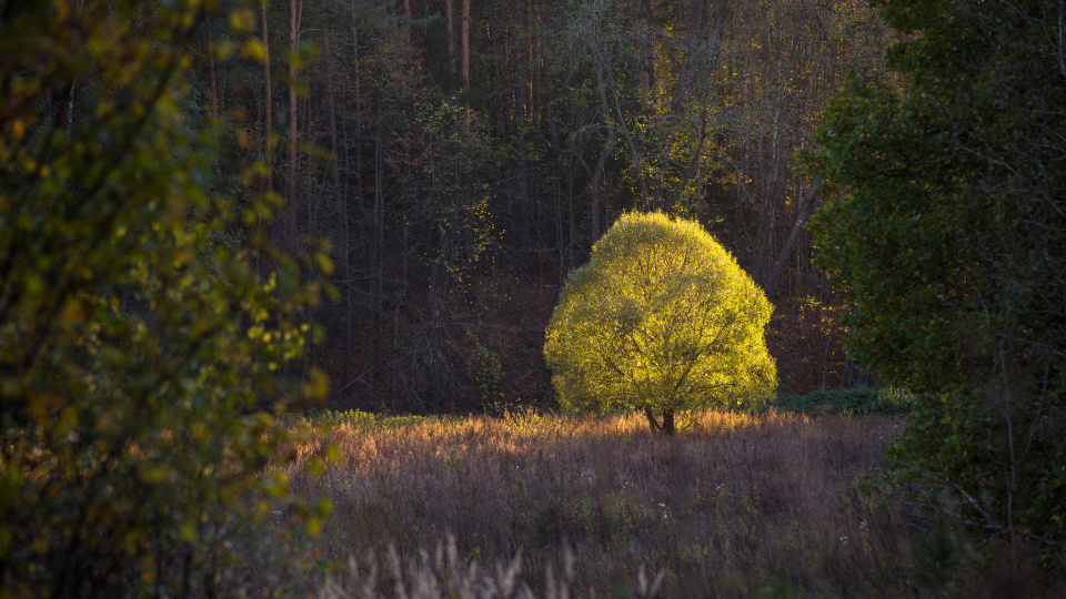 Сергей Зорин, участник фотоконкурса РГО "Самая красивая страна"