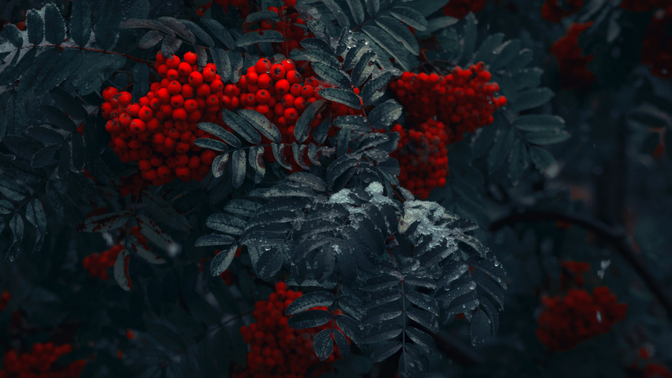 Юлия Лушникова, участница фотоконкурса РГО "Самая красивая страна"