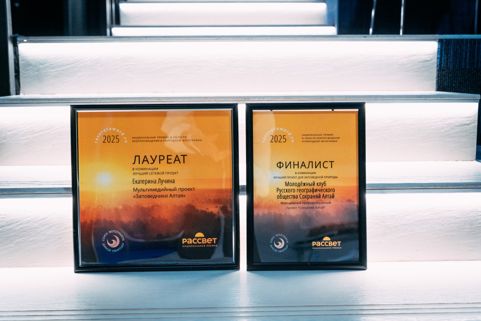 Премия Рассвет