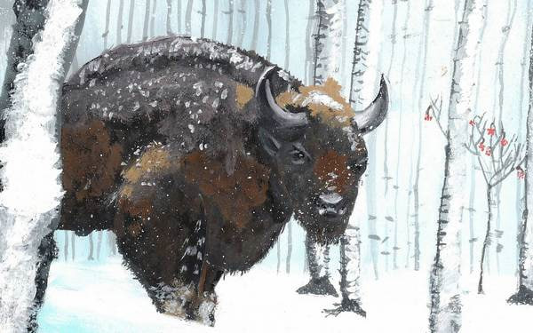 Назар Харитонов