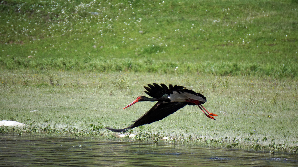 Владимир Надеждин, участник фотоконкурса РГО "Самая красивая страна"