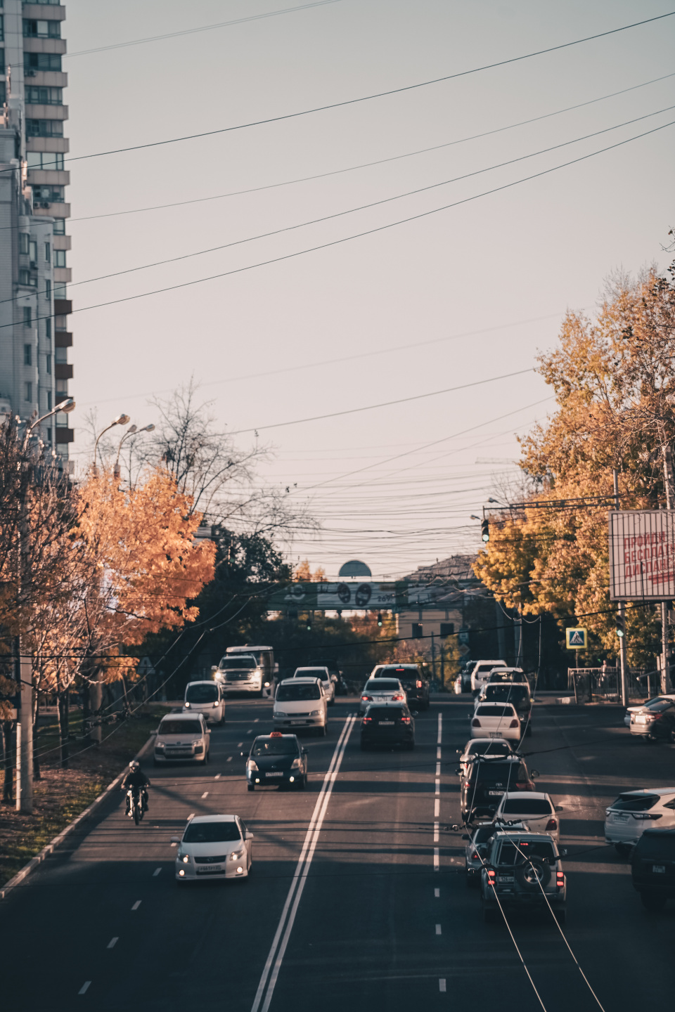 Дмитрий Забуга