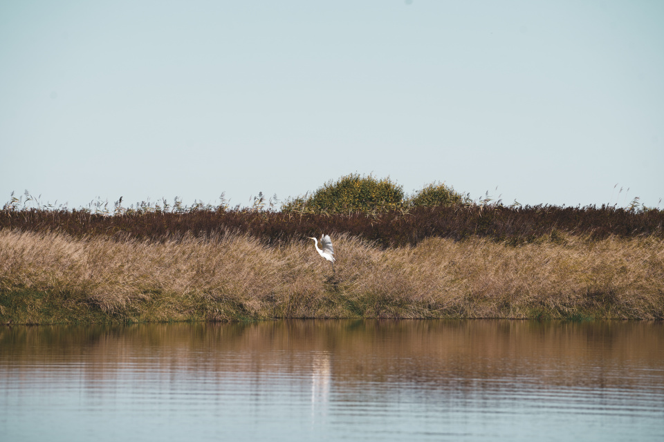 Дмитрий Забуга