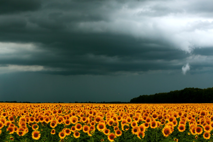 Александр Масенко, участник фотоконкурса РГО "Самая красивая страна"