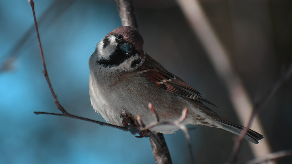 Виктория Калинина, участница фотоконкурса РГО "Самая красивая страна"