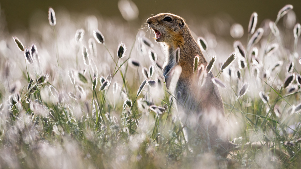 Наталия Чебыкина, участница фотоконкурса РГО "Самая красивая страна"