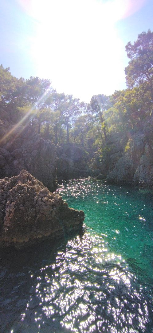 Предоставлено Молодежным клубом РГО "Анадолу"