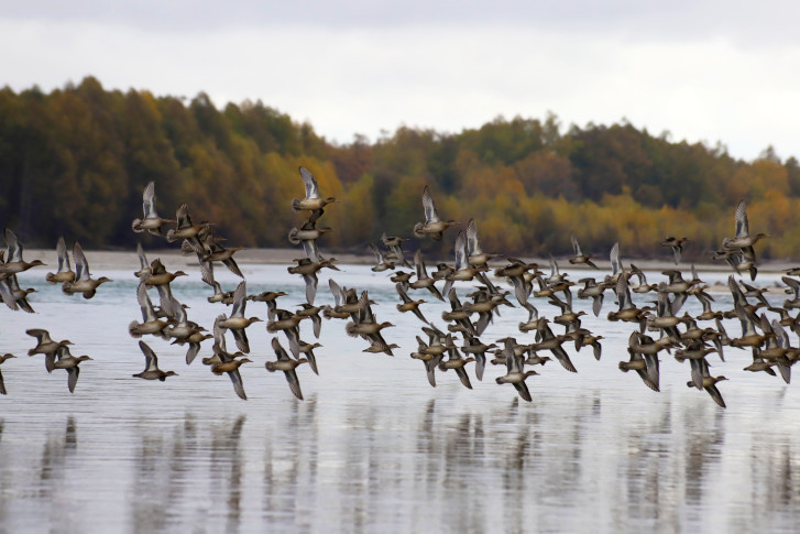 Олег Чепинога, участник фотоконкурса РГО "Самая красивая страна"
