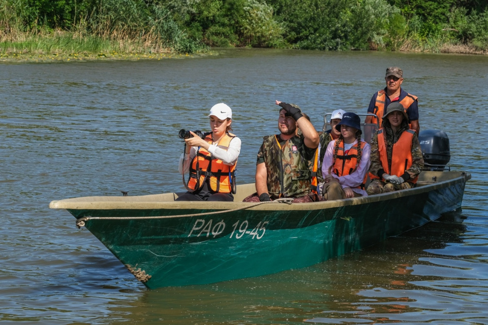Анастасия Вихляева
