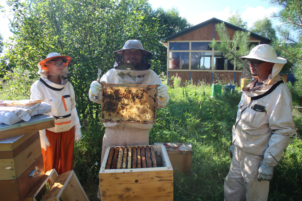 Анна Усатая