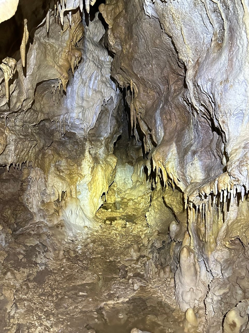 Дмитрий Слесаренко