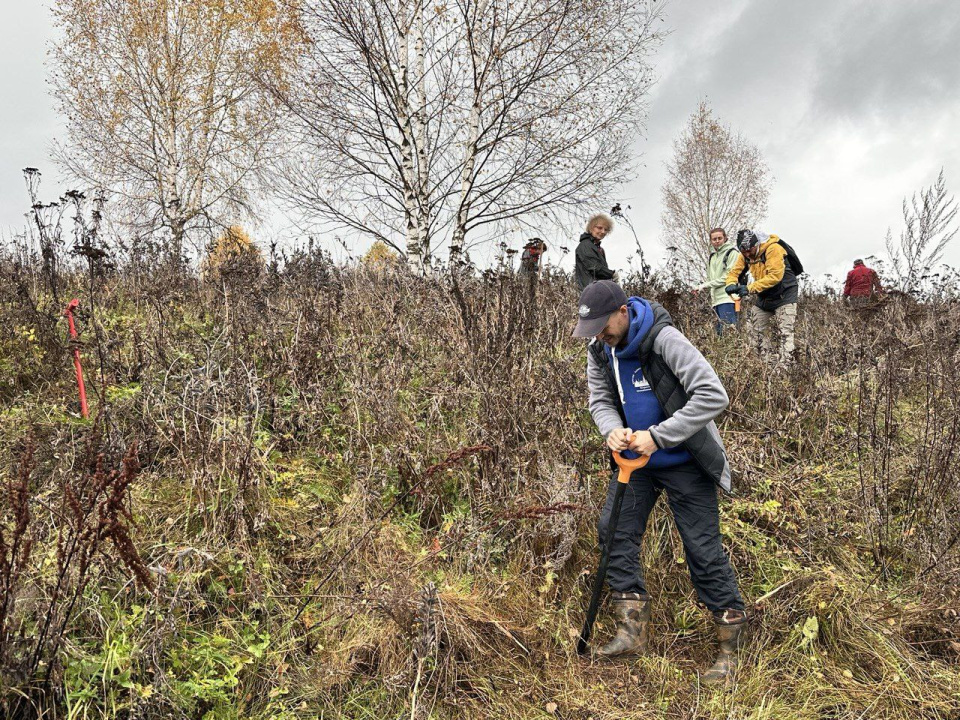 Дарья Салогуб