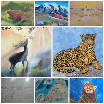 Конкурсные работы