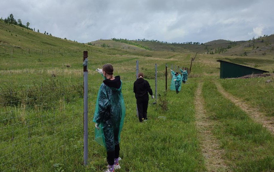 Волонтерский выезд 