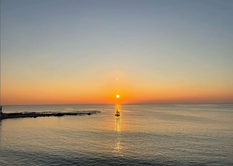 Предоставлено организаторами 