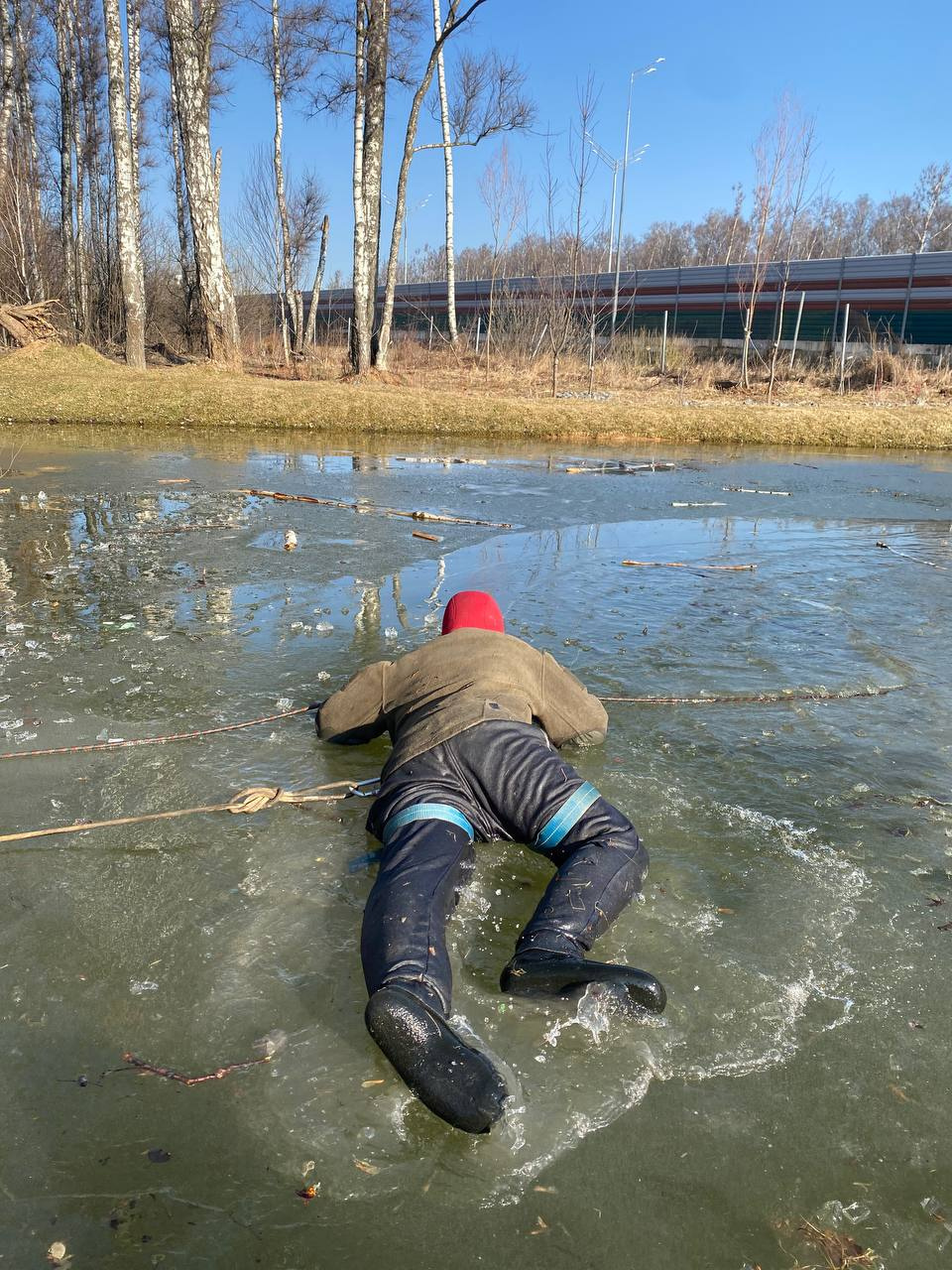 Поведение на льду