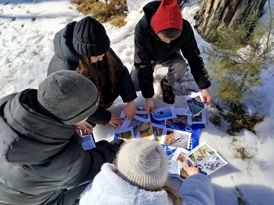 Экологический квест 