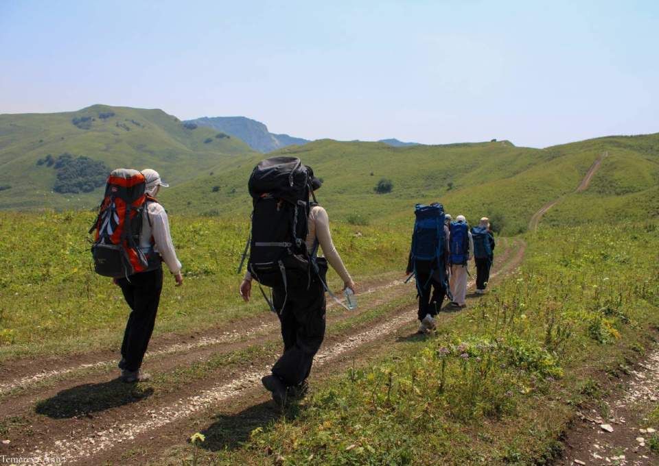 Анна Темерева Анна Темерева