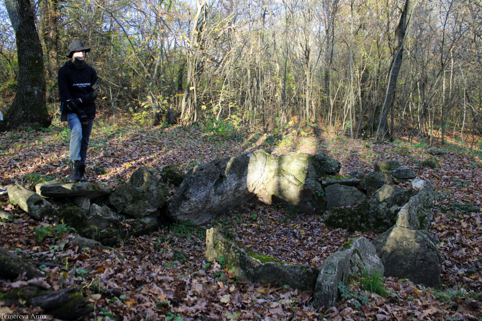 Анна Темерева