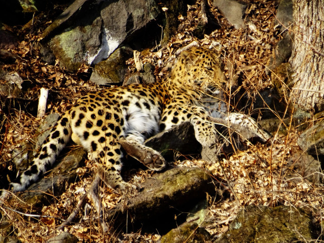 Надежда Сажина, участник фотоконкурса РГО "Самая красивая страна"