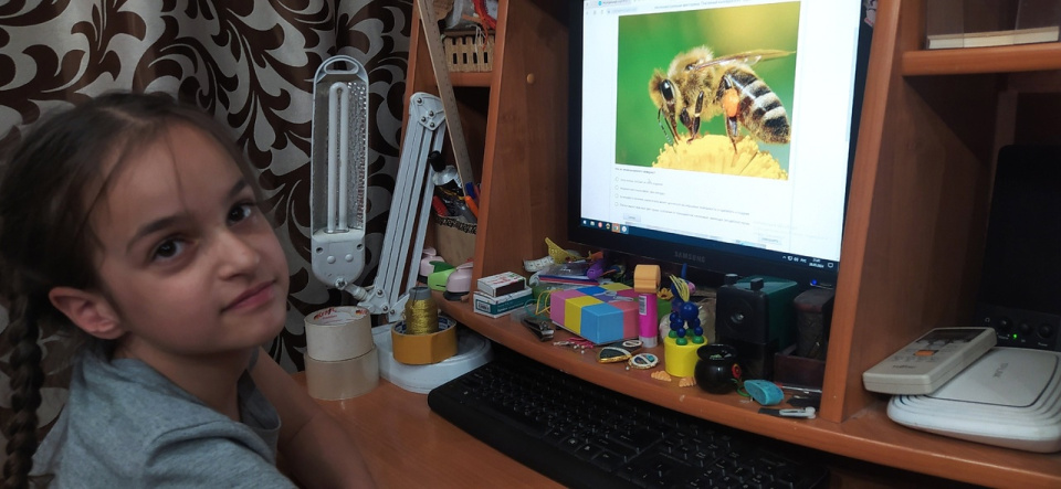 Интеллектуальная викторина "Пчелиный калейдоскоп-2024"