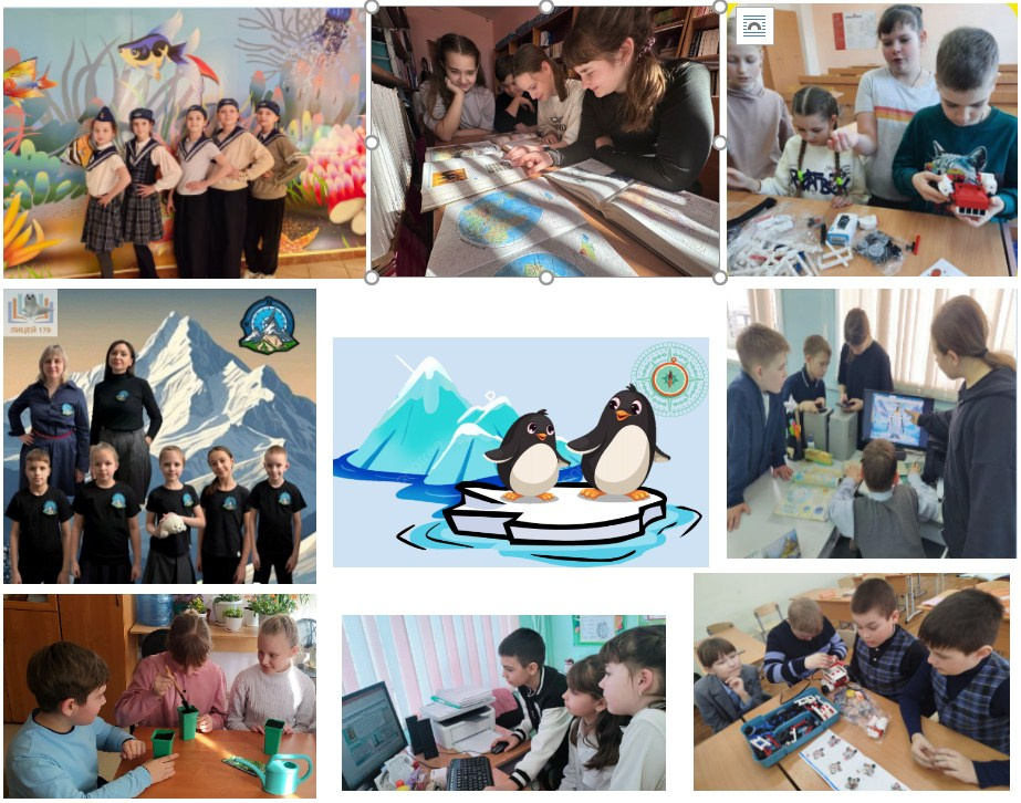 Сетевой проект