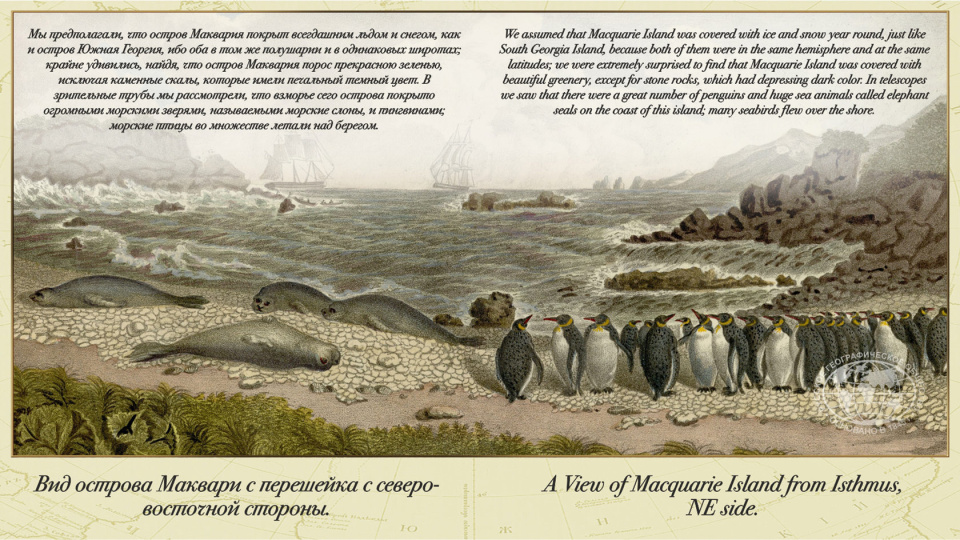 Из иллюстраций к «Атласу Беллинсгаузена»