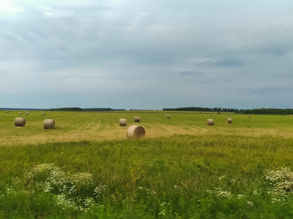 Фотография участника конкурса