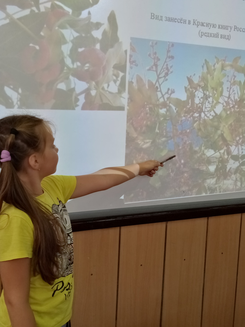 Молодёжный клуб РГО