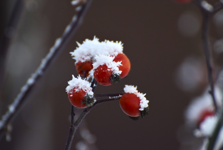 Владислав Комиссаров, участник фотоконкурса РГО "Самая красивая страна"