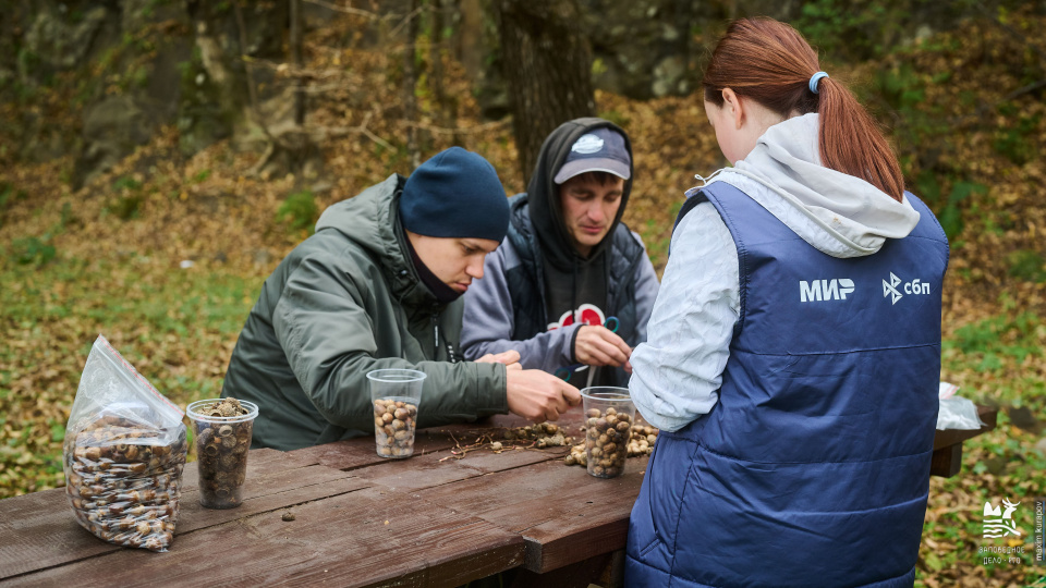 Максим Курапов