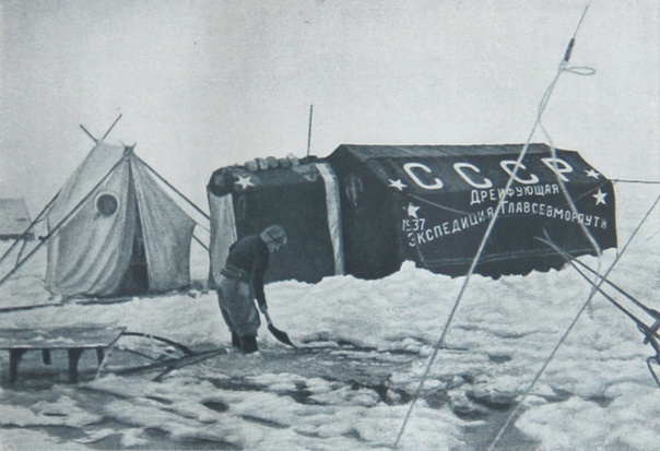 Папанин подсыпает снежный вал к стенкам палатки