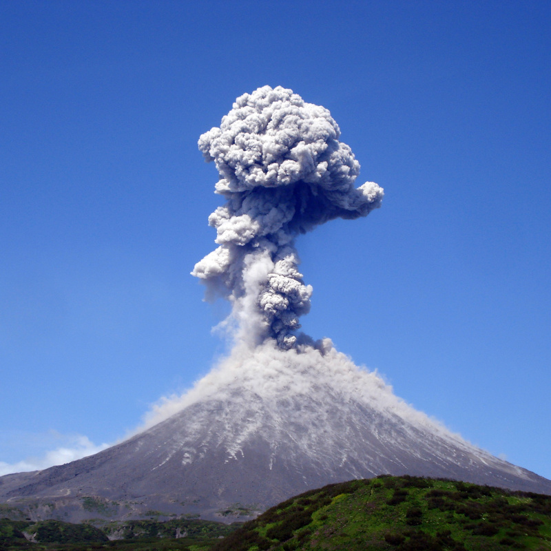 Победитель номинации "Ландшафтное разнообразие" Победитель номинации "Ландшафтное разнообразие"